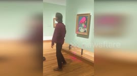 Vandal hurls pink paint over priceless Picasso painting in Canada