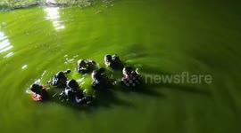 German boy, 15, drowns in pond while swimming with friends in Thailand
