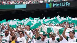 FIFA Club World Cup 2025: Palmeiras v. Al Ahly FC