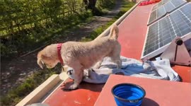Man given two years to live outlives diagnosis by living on narrow boat