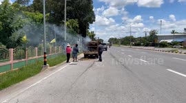 Buffaloes rescued when truck they were in catches fire