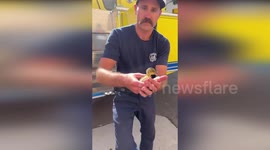 US: Firefighters In Camarillo Save Ducklings Trapped In Storm Drain