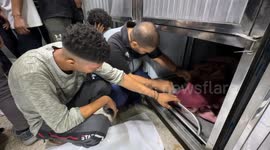 41 Palestinians, including those waiting for aid, killed in Israeli strikes on Gaza Strip