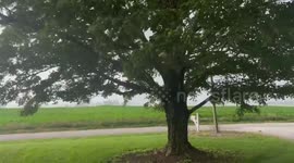 Cloudy skies and steady winds observed in Greensburg, Indiana, USA