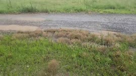 Large hailstones fall during storm in Lawton, Oklahoma, USA
