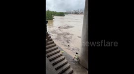 女子勇敢地站在洪水边救助被冲走的狗狗