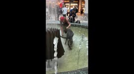 Man saves dog from fountain inside a mall in Toronto, Canada
