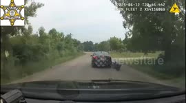 Stolen Vehicle Pursuit Ends in Crash, Arrest in Michigan