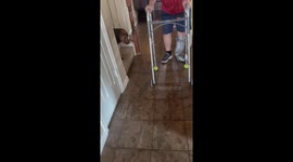 Dog Thinks Grandpa’s Walker is a Toy