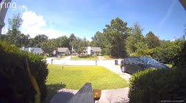 Mantis Dances on Doorbell Camera