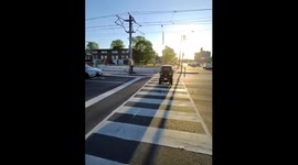 Enclosed Mobility Scooter Baffles Pedestrian