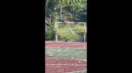 Passerby rescues puppy stuck in goal net