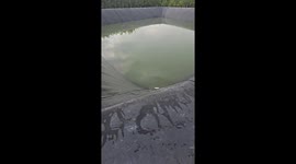Hero local uses rope ladder to rescue kitten stranded in reservoir