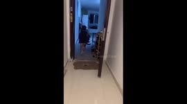 Youngster rushes to save cats during earthquake in China