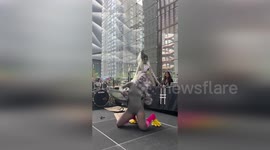 US: Pigeon Mania Takes Over New York at Wild High Line Fest