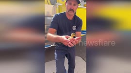 Firemen save ducklings trapped in storm drain in California