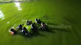 German boy, 15, drowns in pond while swimming with friends in Thailand