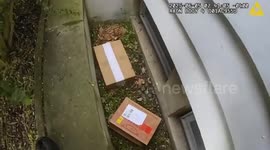 Police Officer Rescues Trapped Fawn From Basement Window Well
