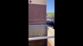 Firefighters Rescue Dog Trapped in Pipe at Water Facility