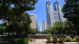 Japan: Video captures Tokyo Metropolitan Govt Building during voting for assembly elections