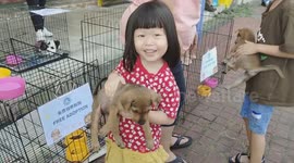 Kids excited to adopt a stray puppy at pet adoption center Malaysia