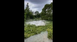 Fishes seen jumping in strong river current after rain in Guizhou, China
