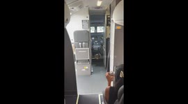 Corgi in the Cockpit