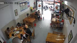 Cat brings rat into diner during meal in Guangdong, China