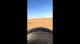 Desert fox found resting inside tire in Riyadh, Saudi Arabia