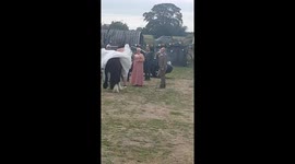 Wedding goes wrong as bride takes unfortunate tumble off horse