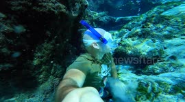 daring freediver explores Florida's BEST natural springs in search of hidden caves