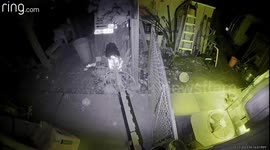 Large possum carrying bamboo leaves with its tail. Probably to use for its nest. Filmed in S.W. Washington state U.S.A. Ring Security Camera