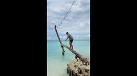Beachgoer falls into sea while trying to pose on tree