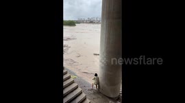Woman fishes dog out of raging floodwater in China