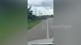 Hungarian tourist arrested over reckless riding, attacking cars and threatening locals with knife