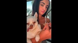 Mom uses chihuahua’s tongue in the most unexpected way—16M views and counting