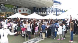 Japan: Japanese visitors flock to bid farewell to departing giant pandas