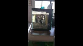 Pet fish poses under the arm of warrior statue in its tank