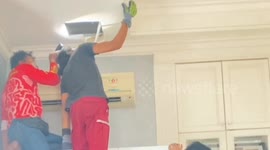 Massive monitor lizard caught in family's ceiling