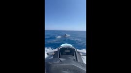 Dolphins and Jetski: Dolphins spotted off the coasts of the island of Malta swimming next to a Jetski. 24 June 2025.