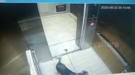 Dog shakes himself from leash trapped in lift door in China