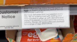Avian influenza continues to affect egg supply in Sydney, Australia