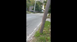 Man Runs From APD