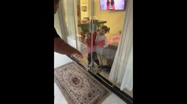 Surprise Visits Ends With Surprise Door Shattering