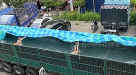 Truck container turned into swimming pool