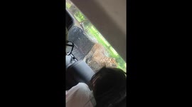 Safari park leopard steals flip-flop from pickup truck