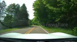 Deer Activates Ragdoll Physics Over Car Hood