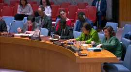 US: China urges continued dialogue with Afghan interim government at UNSC meeting