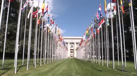 Iran: U.S. and Israeli strikes against Iran violate UN Charter: Chinese ambassador in Geneva