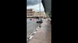 Angry monkey attacks parked car then fights off driver